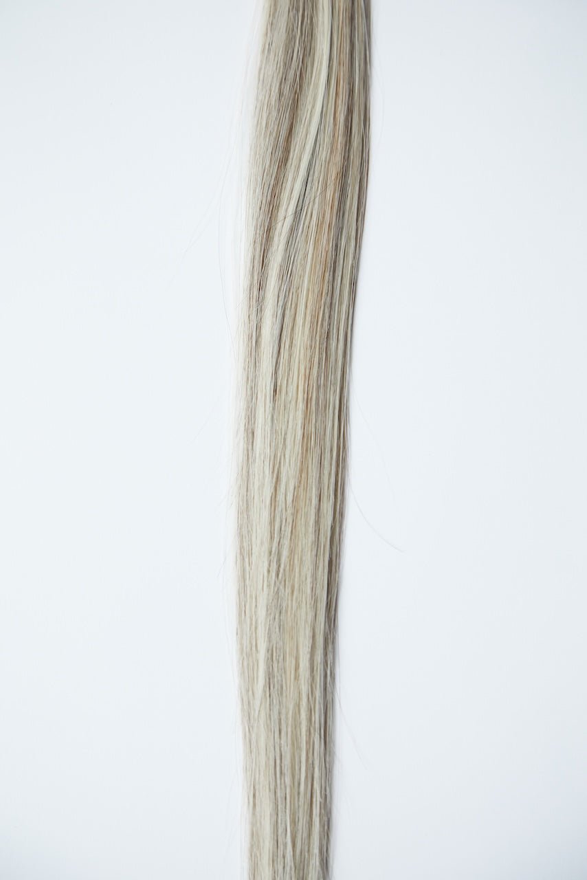 ALEESA K - Tips - Cutie Heads