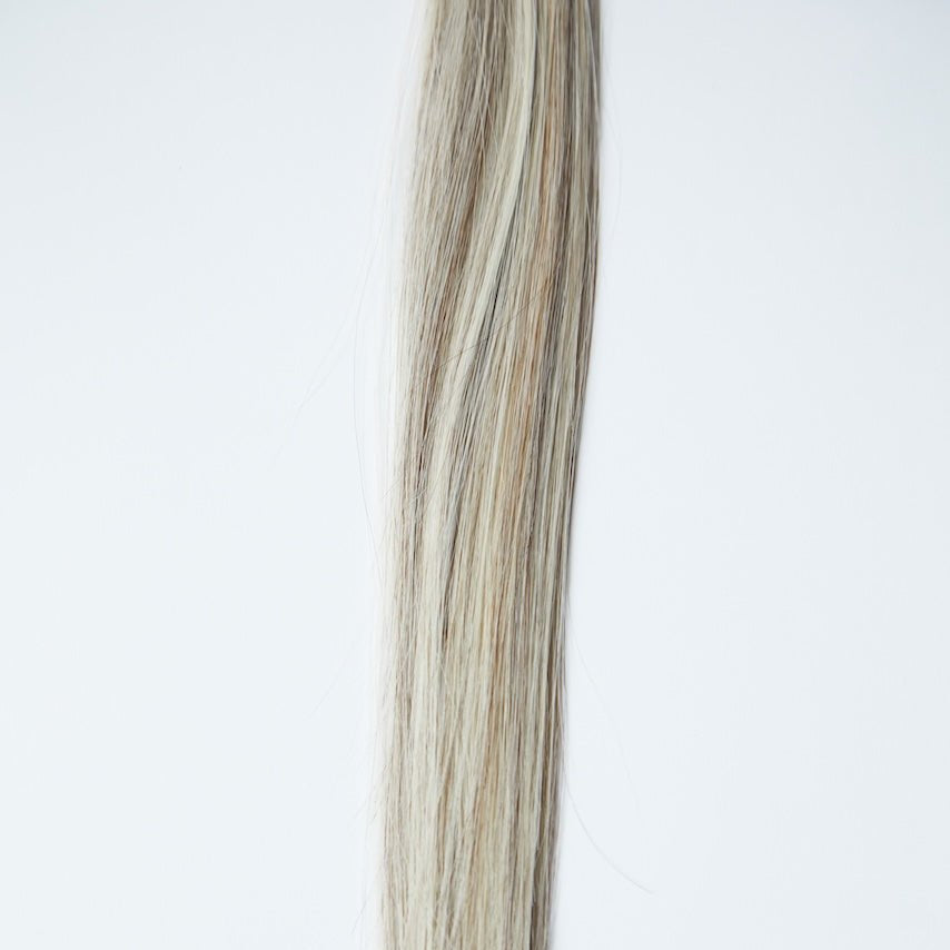 ALEESA K - Tips - Cutie Heads