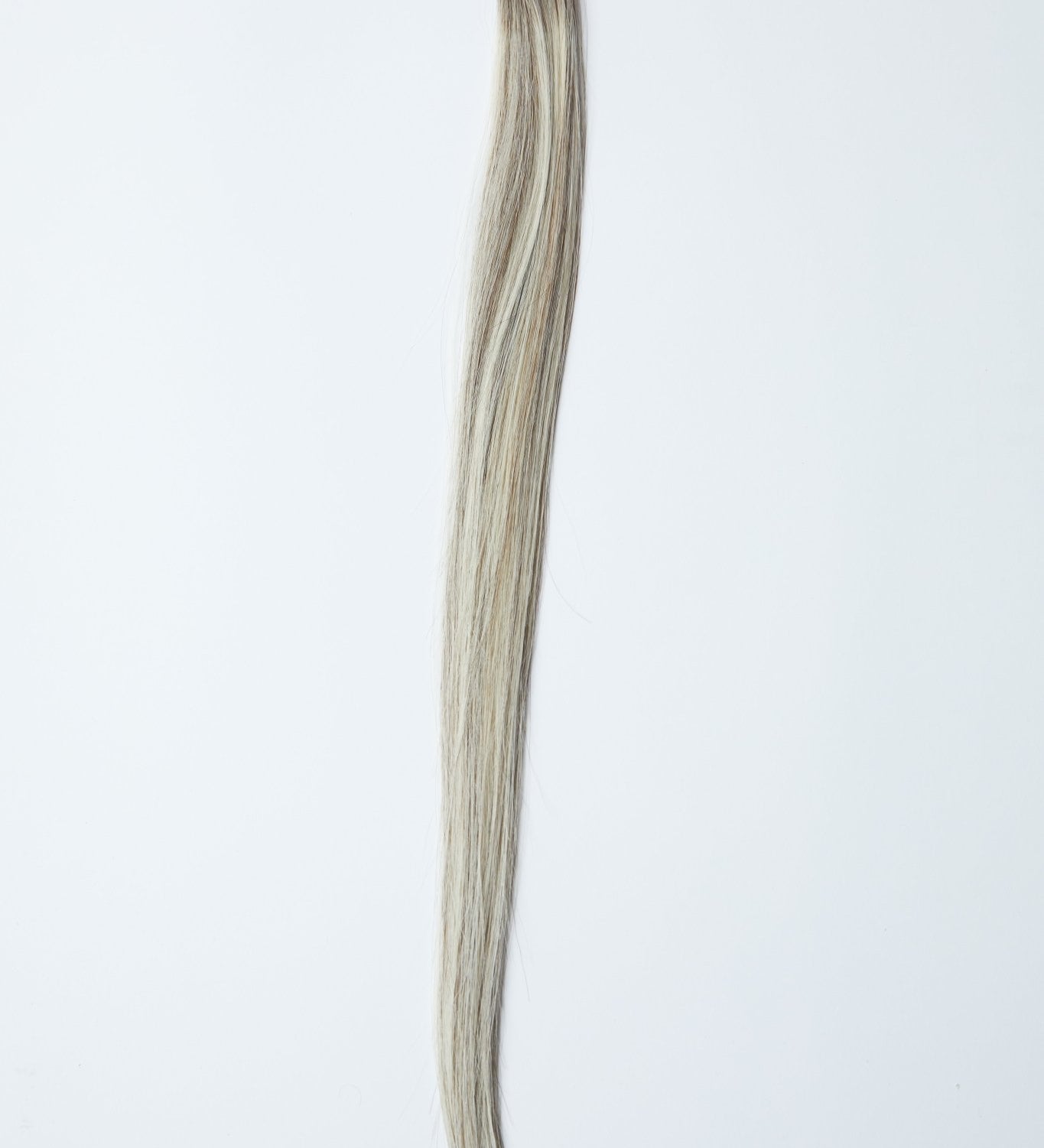 ALEESA K - Tips - Cutie Heads