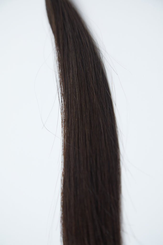 AMBER K - Tips - Cutie Heads