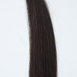 AMBER K - Tips - Cutie Heads