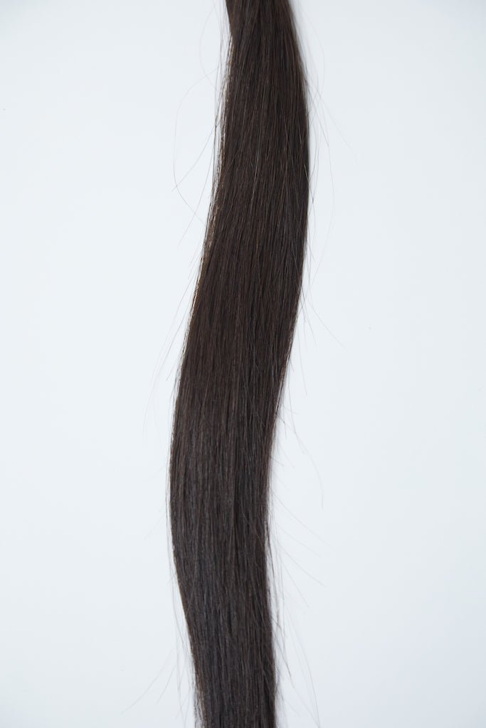 AMBER K - Tips - Cutie Heads