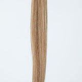 BESTIE K - Tips - Cutie Heads