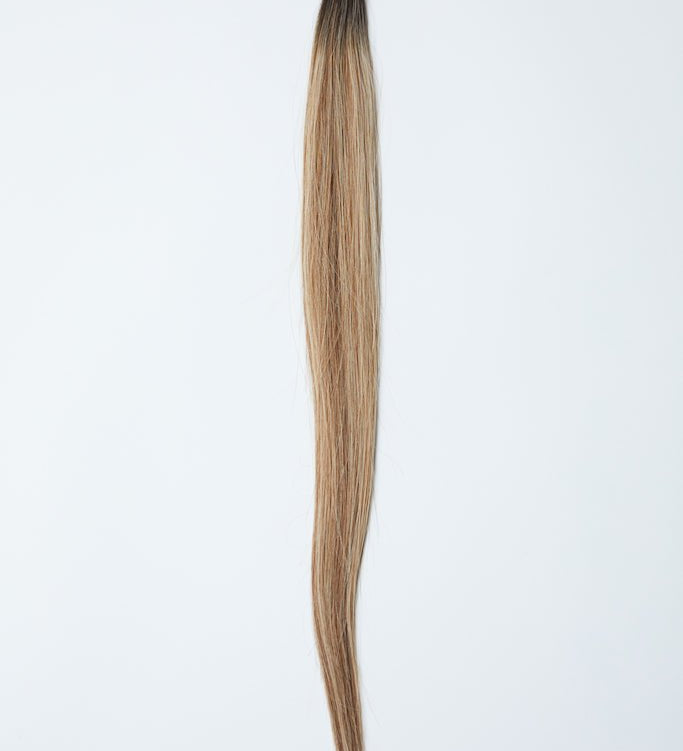 BESTIE K - Tips - Cutie Heads