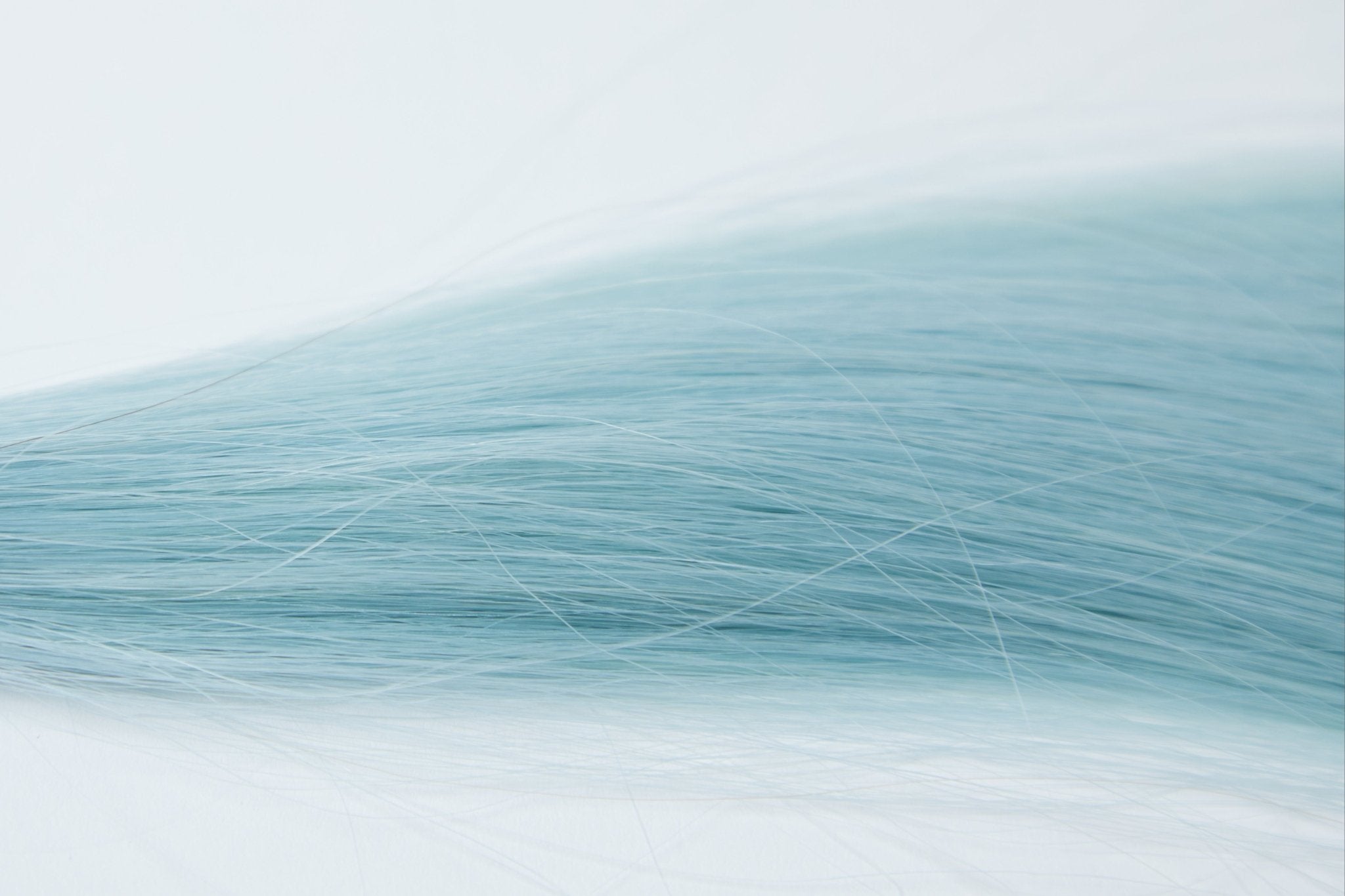 DAMIAN K - Tips - Cutie Heads