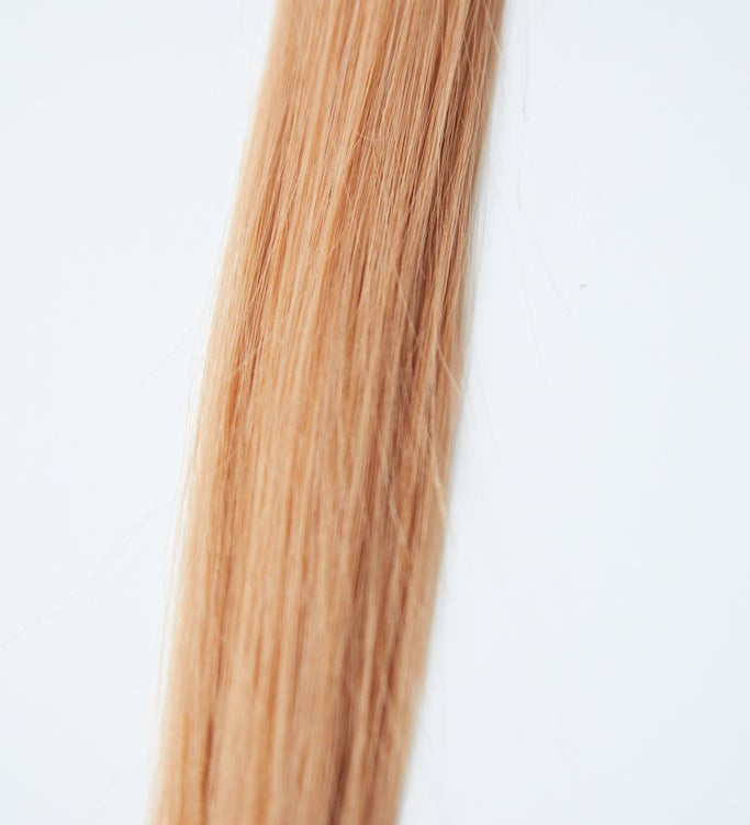 GOLDIE K - Tips - Cutie Heads