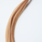 GOLDIE K - Tips - Cutie Heads