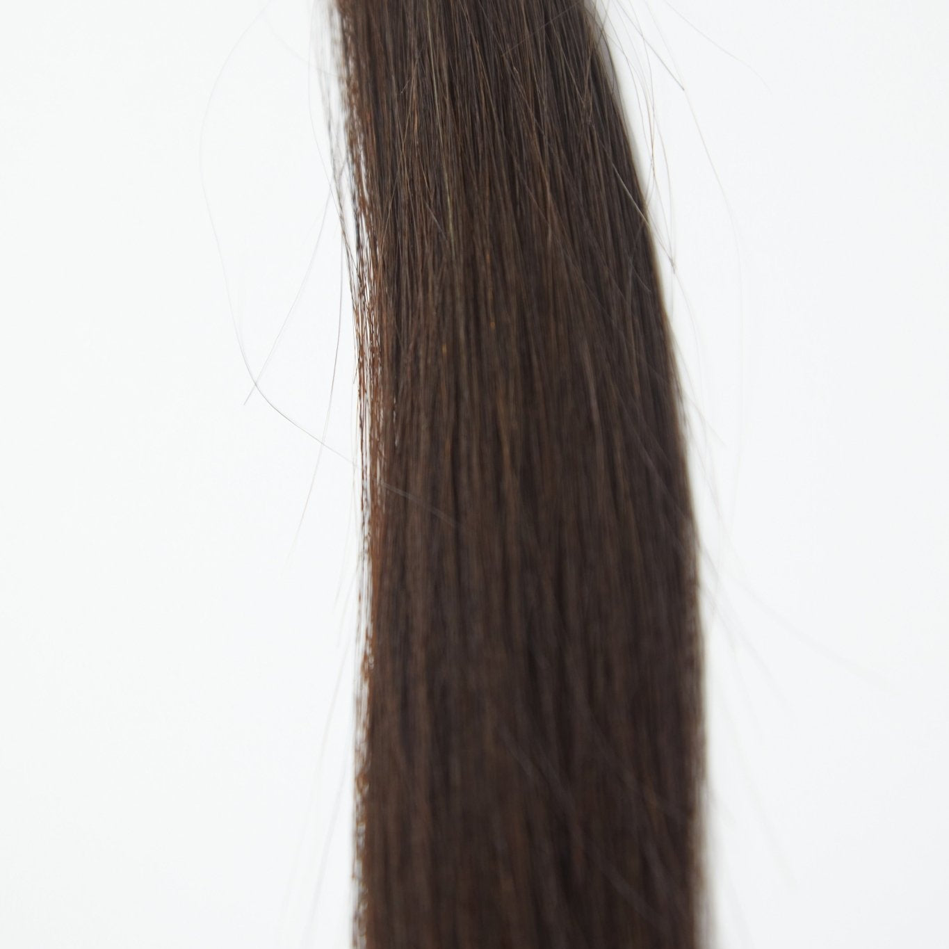 JOIE K - Tips - Cutie Heads