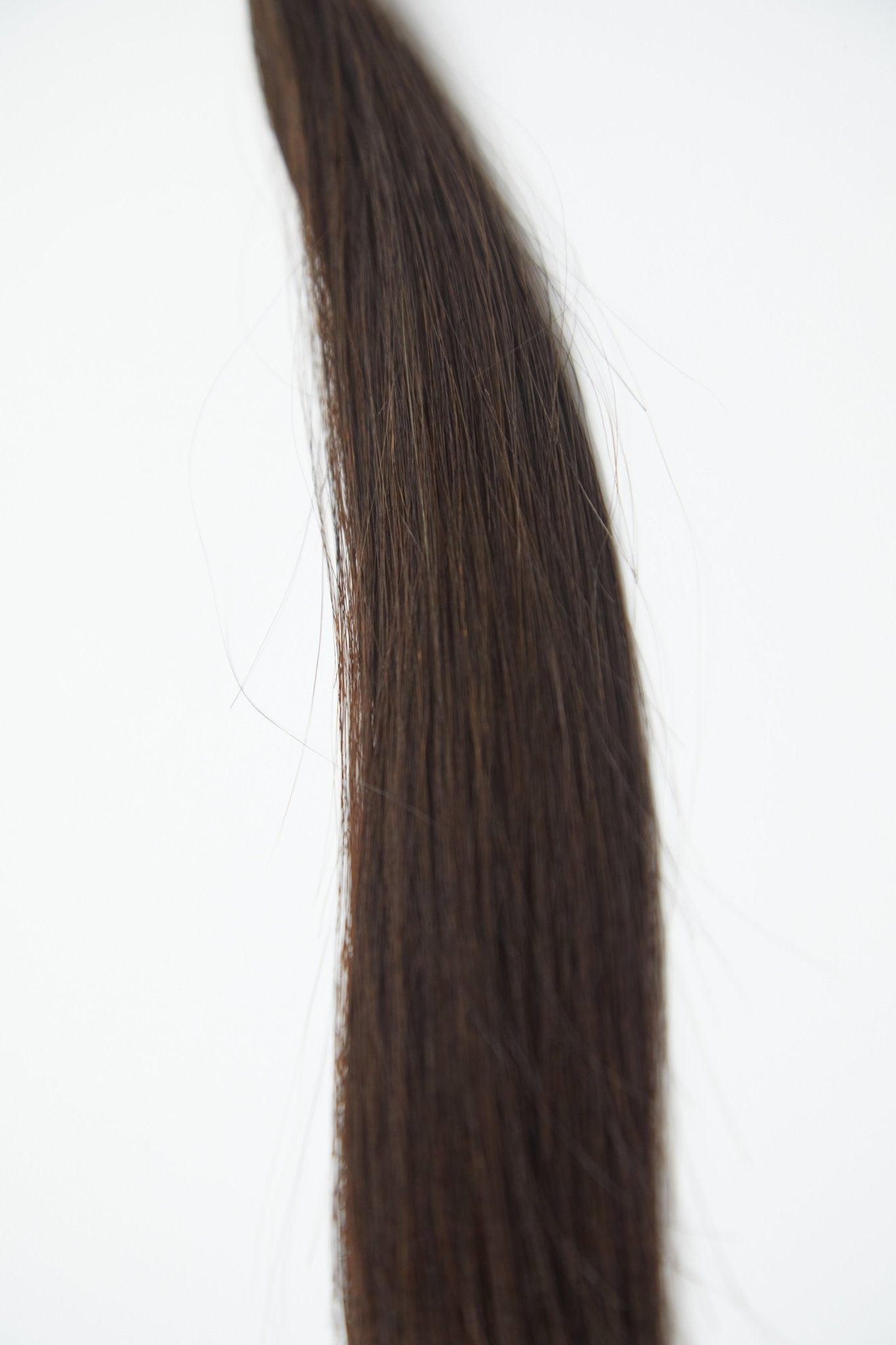 JOIE K - Tips - Cutie Heads