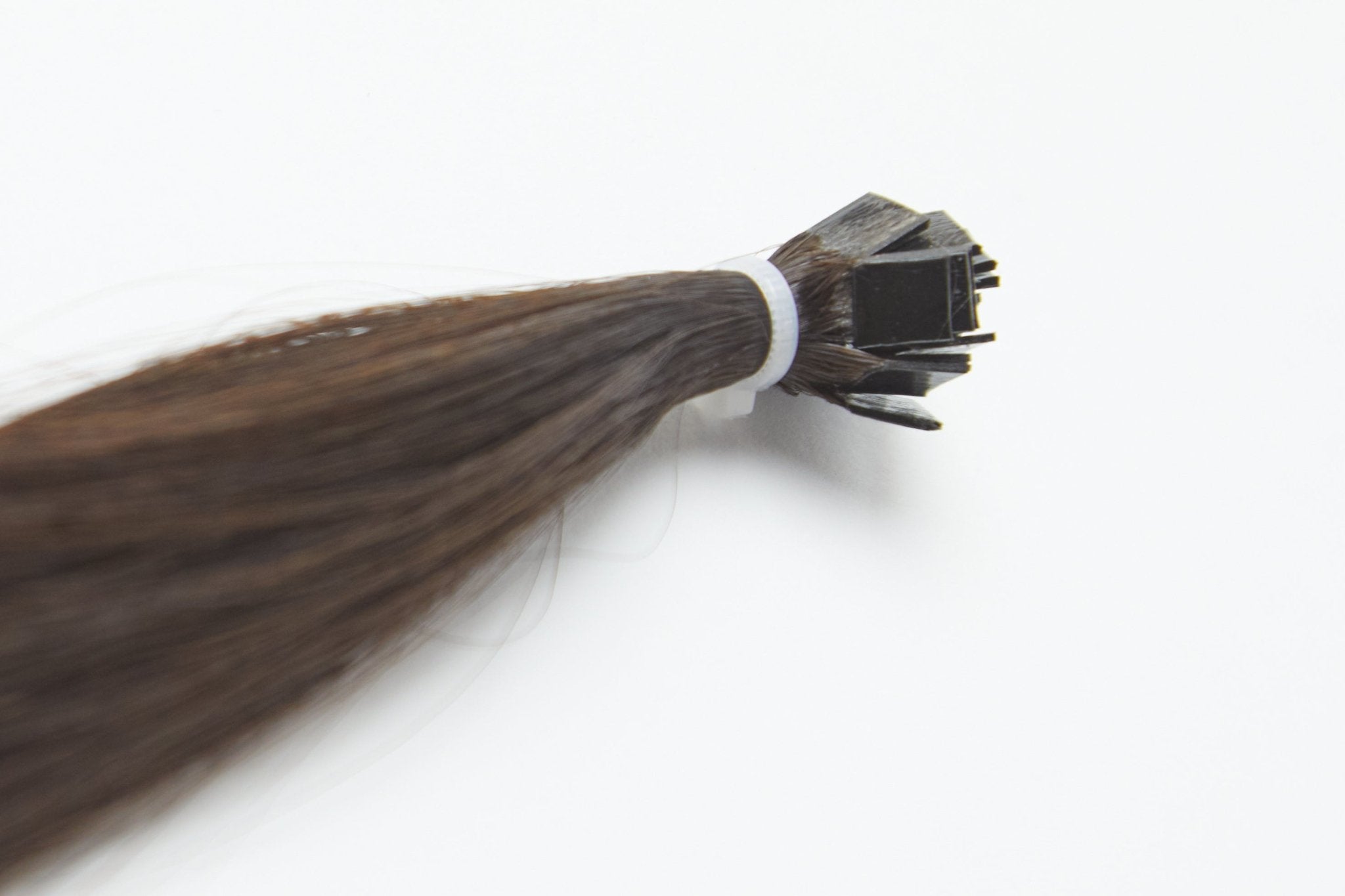 JOIE K - Tips - Cutie Heads