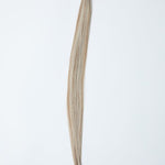 KRISTI K - Tips - Cutie Heads