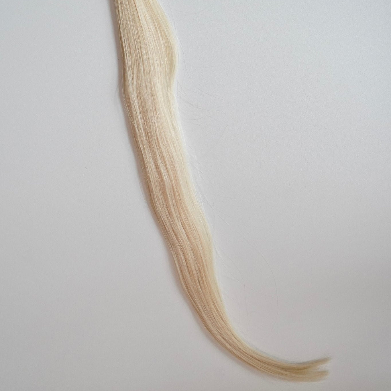 TABITHA K - Tips - Cutie Heads