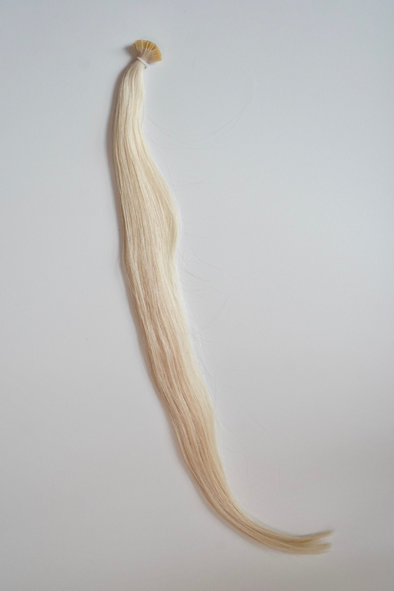 TABITHA K - Tips - Cutie Heads