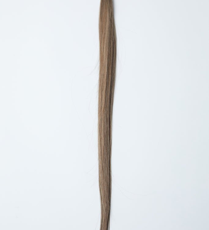 TAYLOR K - Tips - Cutie Heads