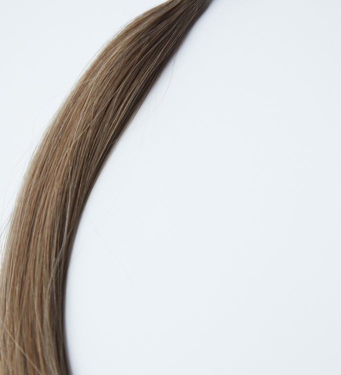 TAYLOR K - Tips - Cutie Heads