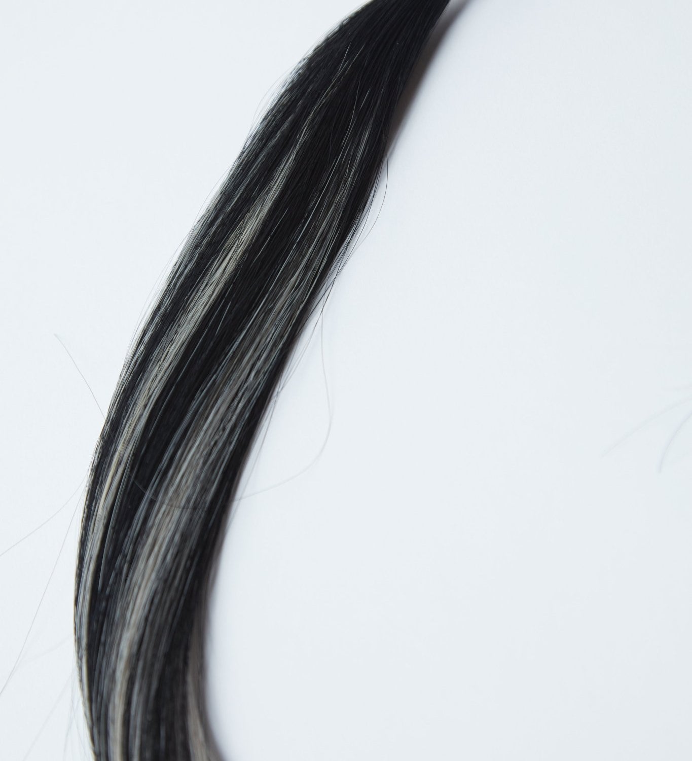 X - TINA K - Tip - Cutie Heads